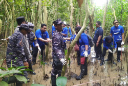 Cegah Abrasi, 5.000 Mangrove Ditanam di Baros
