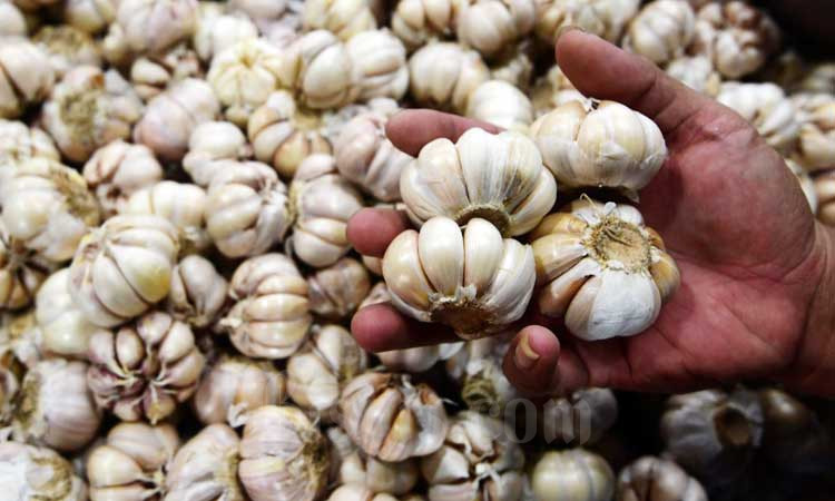 Hampir Semua Bawang Putih di Indonesia Ternyata Produk Impor