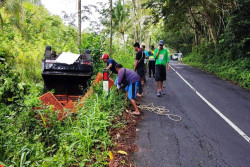 Pikap Pengangkut Ayam Terbalik di Jalan Gunungkidul-Bantul, Ini Penyebabnya...