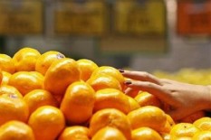 10 Makanan yang Membantu Menyuburkan Kandungan