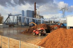 OPINI: Transisi Energi Inklusif Biomassa