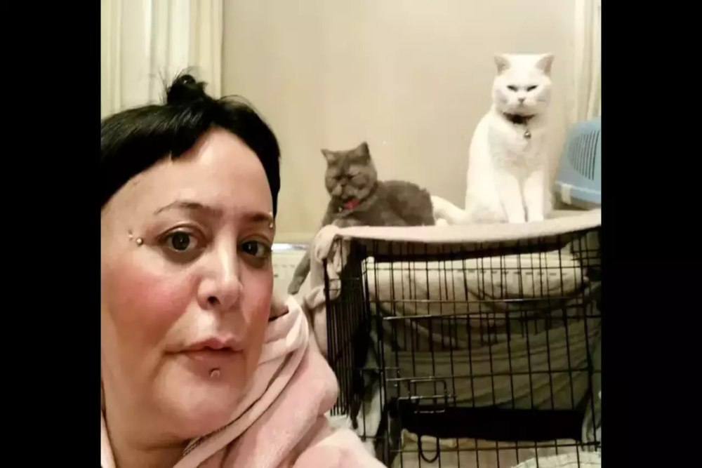 Wanita Ini Makan Seminggu Sekali Agar Keenam Kucingnya Tidak Kelaparan