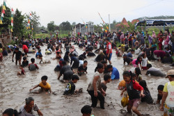 Meriahkan Ramadan, 2 Kuintal Lele Ditebar di Sawah Jadi Rebutan Warga
