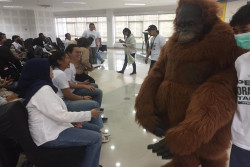 Pendidikan Konservasi Jadi Pilar Penting untuk Keselamatan Orangutan