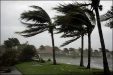 Siklon Tropis Herman! BMKG Peringatkan Warga Wilayah Kulonprogo Bagian Utara