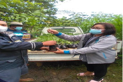 CV ESA Yogyakarta, Kerjakan Semua Pekerjaan dengan Maksimal