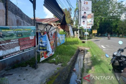 Menantang Nyali Politikus Muda Tampil dalam Pemilu