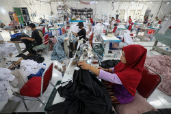 Duh, 7,99 Juta Orang di Indonesia Masih Menganggur, Apa Penyebabnya?