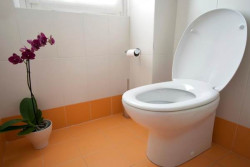 Unik! Inggris Punya Kementerian Kesepian, Jepang Punya Kementerian Toilet