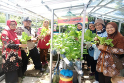 Cokrodiningratan Fokus Atasi Stunting Lewat Hasil Tani