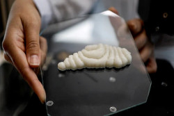 Daging Ikan Fillet Tiruan Ini Dicetak dengan Printer 3D, Bakal Jadi Makanan Masa Depan