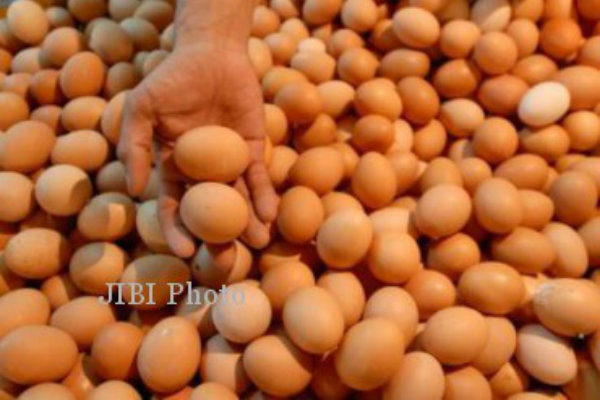 Harga Telur Naik, Wamendag: Yang Penting Stok Aman