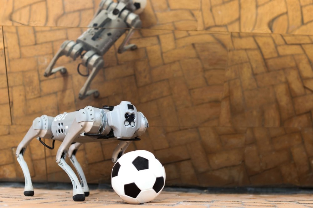 Unik, Ilmuwan Ciptakan Robot Berkaki Empat yang Bisa Main Sepak Bola