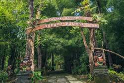 Status Lahan Kehutanan di Bawah Pengelolaan Pemda DIY Bakal Dikembalikan ke Kraton Jogja