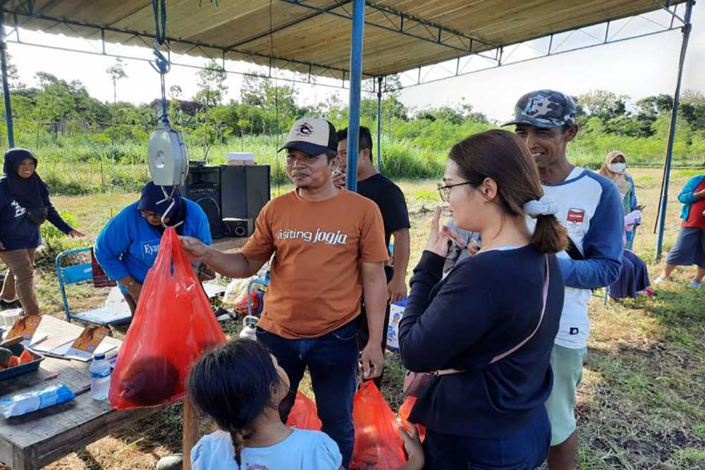 Warga Gunungkidul Rintis Agrowisata Tanaman Semangka