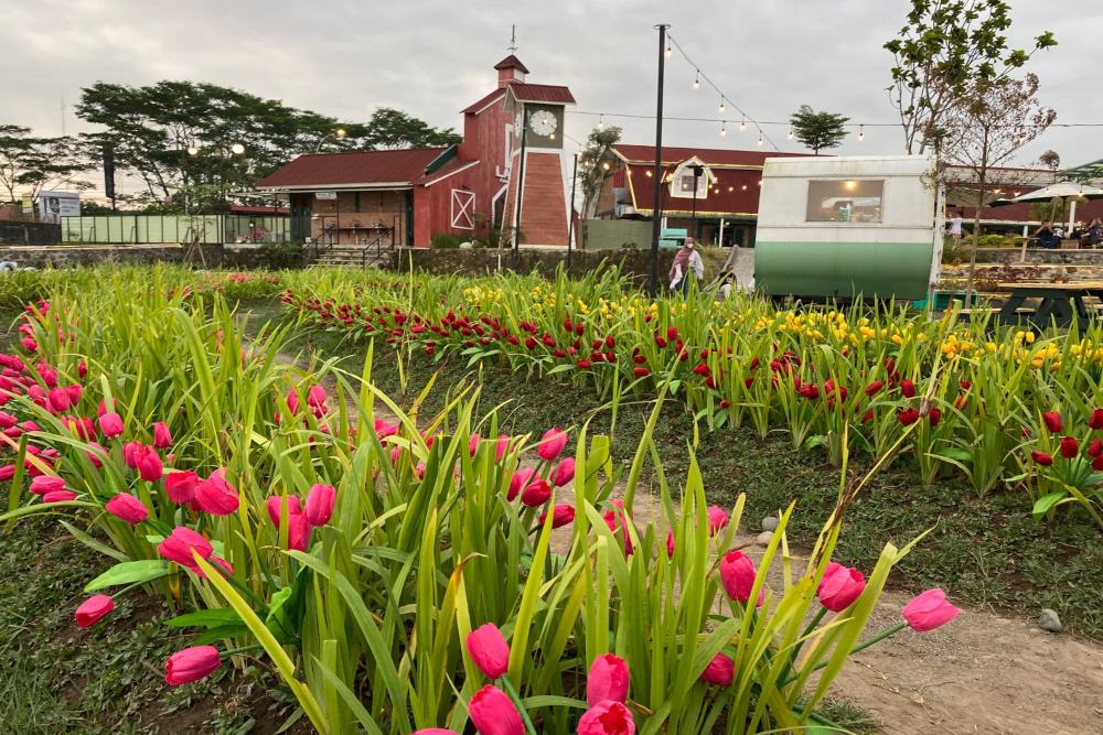 Pengin Nikmati Air Terjun Swiss dan Kebun Tulip ala Belanda, Objek Wisata Ini Cocok untuk Anda