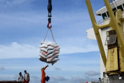 Vietnam Pangkas Ekspor Berasnya, Pengamat: Indonesia Harus Genjot Produksi!