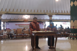Sleman Surplus Cabai, Bakal Disalurkan ke Kota Jambi