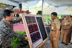 Hebat! Batik Karya Anak SD Jadi Motif Resmi Batik Gunungkidul