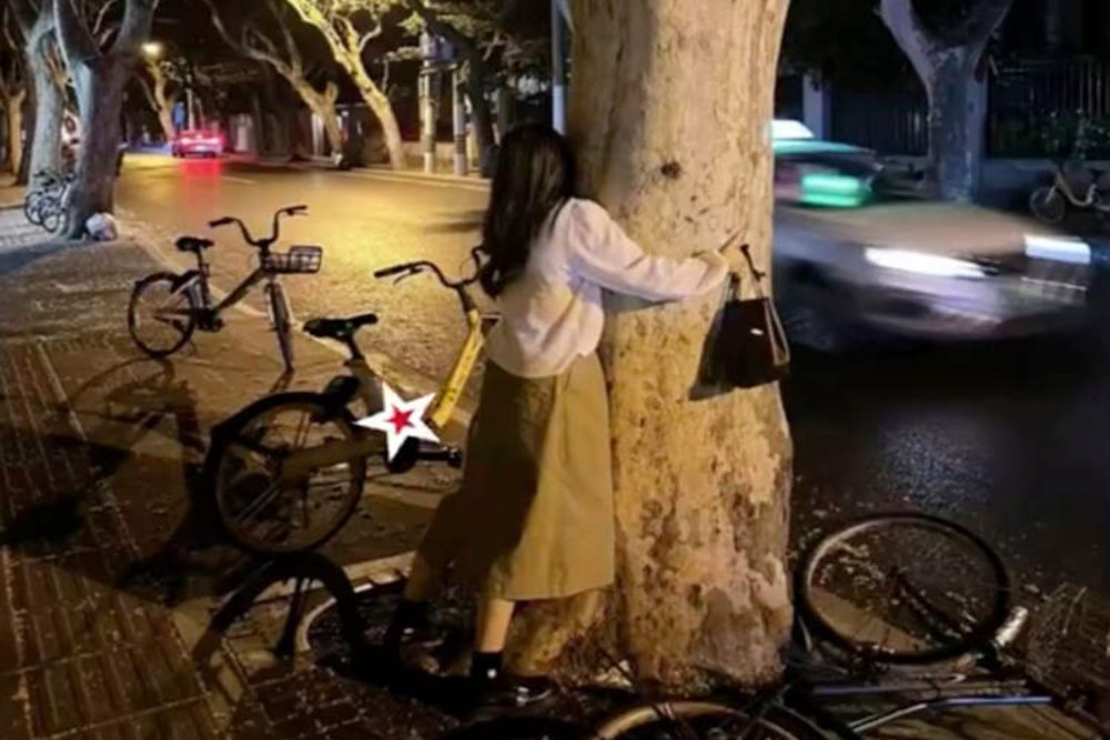Viral, Perempuan Ini Ajak Peluk Pohon sebagai Bentuk Terapi Jiwa