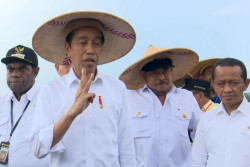 Presiden Puji Hasil Panen Jagung Keerom Tapi Evaluasi Pengelolaan Air