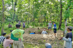Cegah Penyebaran Antraks, PDHI DIY Usulkan Penguatan Biosecurity Kandang Ternak di Gunungkidul