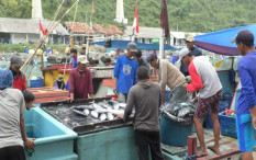 Penangkapan Lobster Ilegal Salah Satunya Akibat Nelayan di Gunungkidul Banyak Tak Miliki NIB