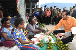 Pesan Jokowi: Jangan Lihat Papua dari Sisi Negatif
