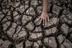 Menteri Pertanian: Stok Pangan Menjelang Puncak El Nino Aman