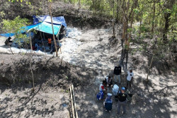 Fosil Gajah Purba Ditemukan di NTT, Usianya Ratusan Ribu Tahun