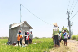 Pertanian Modern Berbasis Listrik Kian Berkembang, Electrifying Agriculture PLN Tumbuh