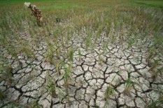 Kemen-PUPR Siapkan Anggaran Penanganan Bencana Rp450 Miliar, Salah Satunya untuk Dampak El Nino