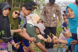 Dongkrak Produksi Pertanian, Pemkab Gunungkidul Kembangkan Lumbung Mataram