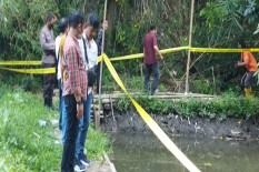 Bencana Kekeringan: 31 Hektar Kolam Ikan di Sleman Kekurangan Air