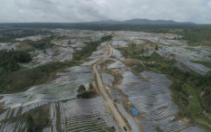 Memanas! Jokowi Jawab Kritik Keras Hasto PDIP Soal Food Estate: Realisasi Tak Semudah Dibayangkan!