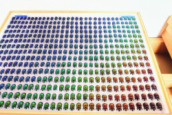 Terlalu Gabut, Pria Jepang Kumpulkan Kumbang dengan Gradien Warna Jadi Karya Seni