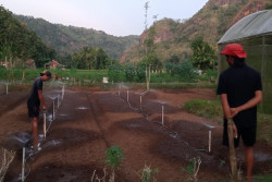 Berkat Cara Ini, Ongkos Petani di Bantul Kian Irit, Hasil Panen Melejit