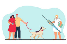 Segera Daftar! Pemkot Siapkan 2.000 Vaksin Rabies di 13 Klinik
