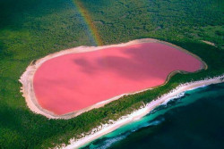Danau Ini Punya Air Berwarna Merah Jambu, Kok Bisa?