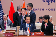 Ini Daftar Oleh-oleh Jokowi dari KTT G20 India