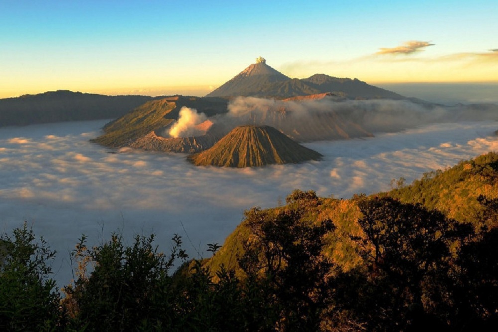 Kebakaran Bukit Teletubbies Bromo, Begini Reaksi Jokowi