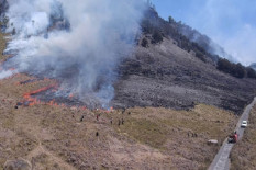 Kasus Flare, Kebakaran Bromo Mencapai 504 Hektare