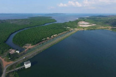 Demi Perebutan Investasi, Percepatan Proyek Pulau Rempang Dilakukan hingga Munculkan Konflik
