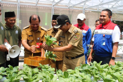 Pertamina Patra Niaga Fuel Terminal Boyolali Resmikan Wisata Edukasi Pertanian dan Peternakan Inklusi