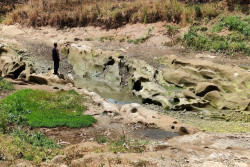 Dampak Kemarau Kian Parah, Sungai Oya di Gunungkidul Kering Kerontang