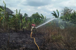 Lagi, Karena Bakar Sampah, 900 Meter Lahan di Dongkelan Ikut Terbakar