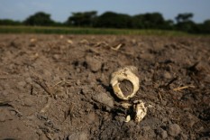 Antisipasi Dampak Kekeringan pada Sektor Pertanian, Pemkab Bantul Siapkan Sumur Dangkal