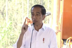 Jokowi Kebut Kesiapan Tanah di IKN untuk Merespons Minat Investor