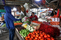 Harga Pangan Hari Ini 23 September 2023: Beras, Ayam, dan Telur Kompak Naik