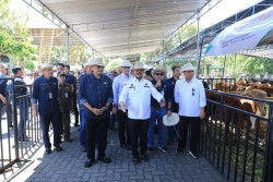 Jateng Berkontribusi Terhadap Lumbung Pangan Nasional